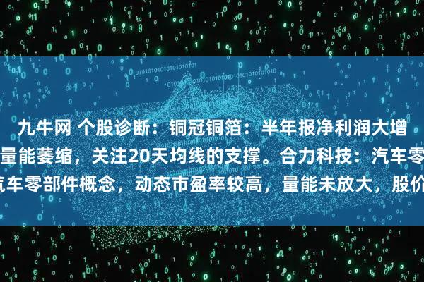 九牛网 个股诊断：铜冠铜箔：半年报净利润大增，高位箱体震荡走势，量能萎缩，关注20天均线的支撑。合力科技：汽车零部件概念，动态市盈率较高，量能未放大，股价维持横盘震荡（刘欣）