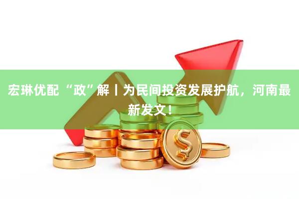 宏琳优配 “政”解丨为民间投资发展护航，河南最新发文！