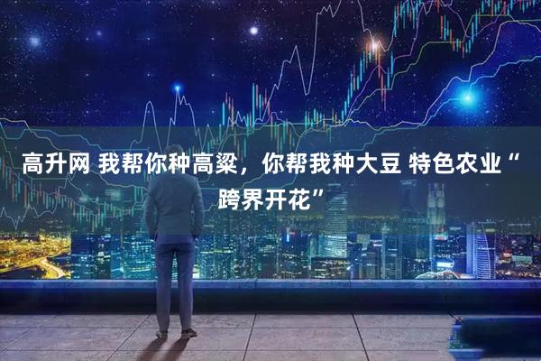 高升网 我帮你种高粱，你帮我种大豆 特色农业“跨界开花”