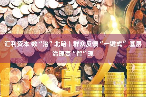汇利资本 数“治”北碚丨群众反馈“一键式” 基层治理变“智”理